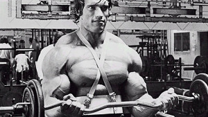 Arnold-Curls